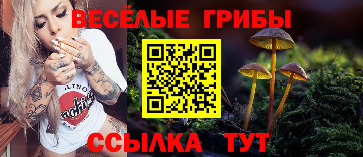 Галлюциногенные грибы GOLDEN TEACHER  Вход с VPN  Каменск-Уральский 
